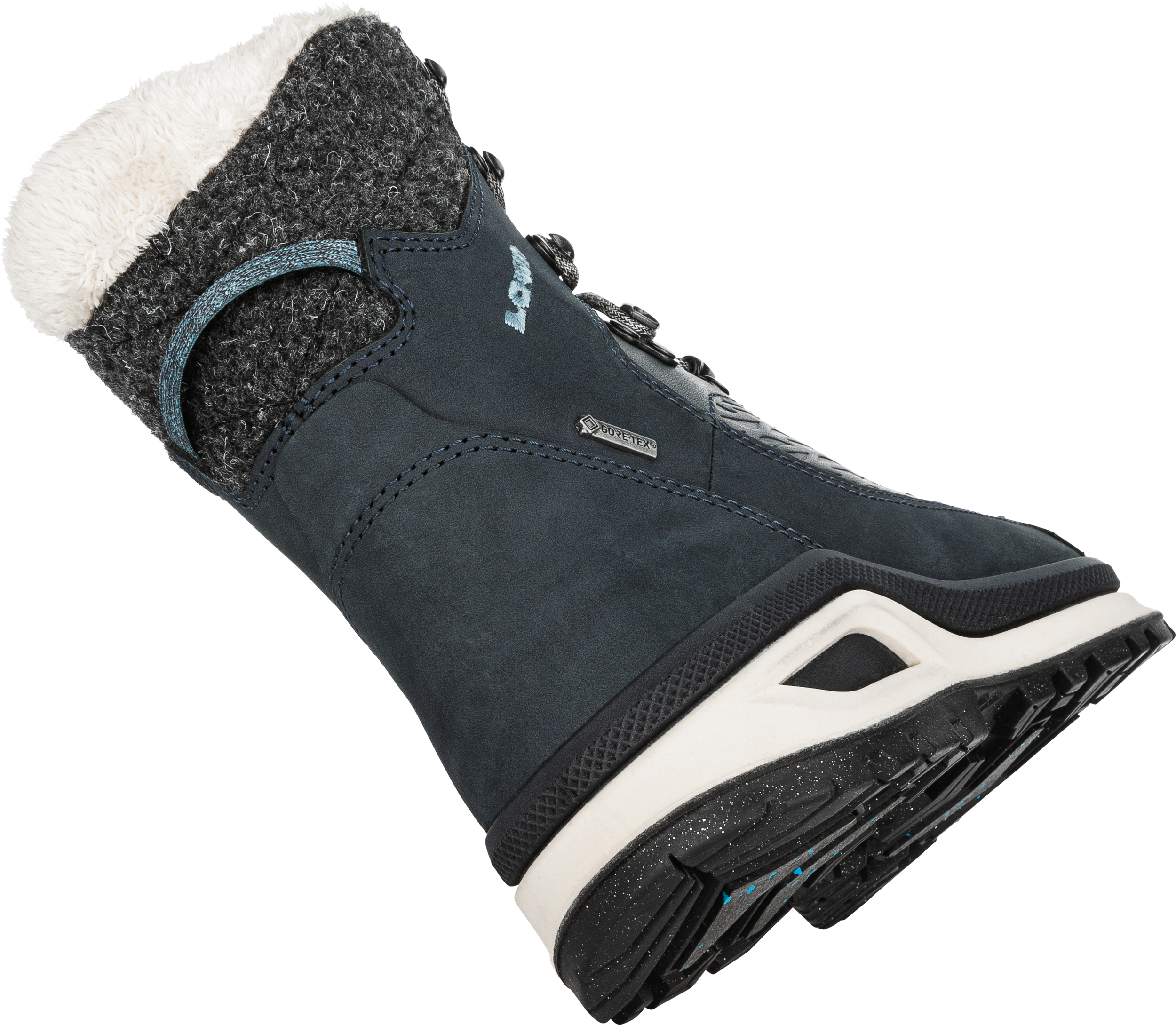 RENEGADE EVO ICE GTX Ws: COLD BOOTS for women | LOWA INT